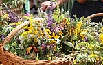 Foto: OGV Elsbethen